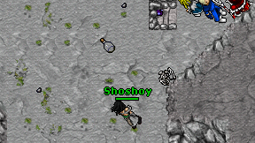 Shoshoy on screen