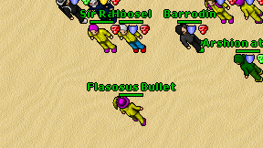 Flasosus Bullet on screen