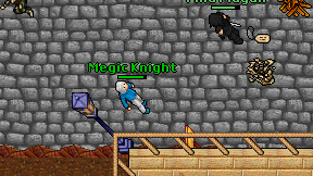 Megic Knight on screen