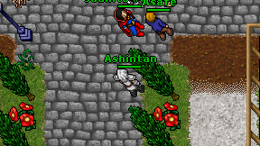 Ashintan on screen