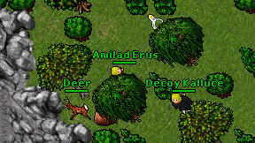 Amilad Erus on screen