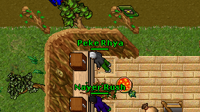 Peke Rhya on screen