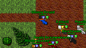 Shinig Druid on screen