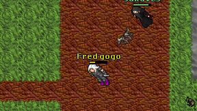 Fred gogo on screen