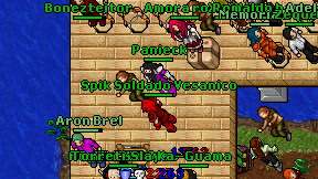 Panieck on screen