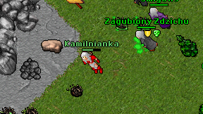 Kamilnianka on screen
