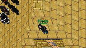 Plado on screen