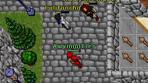 Amynnul Eler on screen