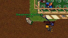 Dwarven Warlock on screen