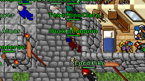 Duck of lagoon on screen