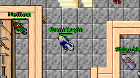 Omni Kayin on screen