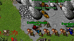 Colibri Mage on screen