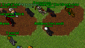 Animus Necandi on screen