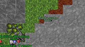 Baltaguto on screen