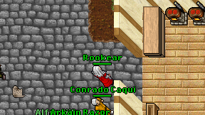 Rookear on screen