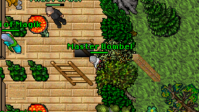 Master Bombel on screen