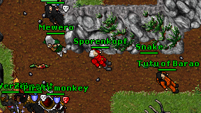 Sporenkopf on screen