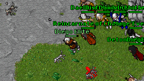 Diego Elite on screen