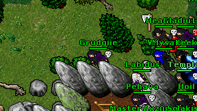 Grudgiie on screen