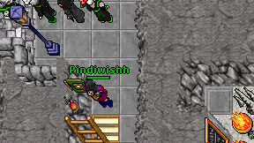 Pindiwishh on screen