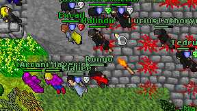Rongo on screen