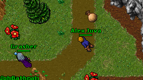 Alex Juva on screen