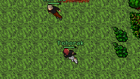 Tohorak on screen