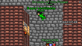 Raya'sentinela on screen
