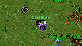 Duri Elzim on screen
