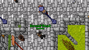 Druid'Riot on screen
