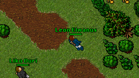 Leon Elwanus on screen