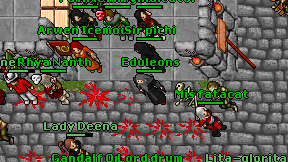 Eduleons on screen
