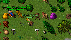 Merix'ace on screen