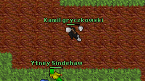Kamil gryczkowski on screen