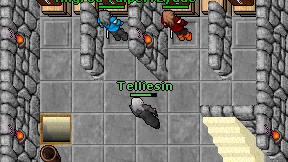Telliesin on screen