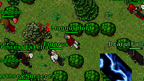 Magnus Hort on screen