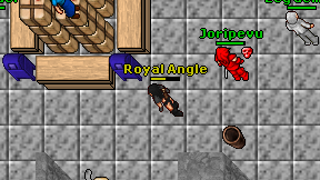 Royal Angle on screen