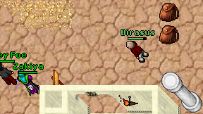 Birasus on screen