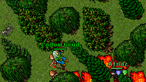 Lodom Grud on screen