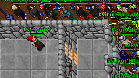 Nevady on screen