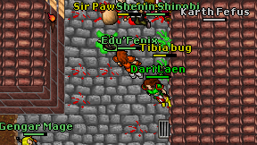 Shenin Shinobi on screen