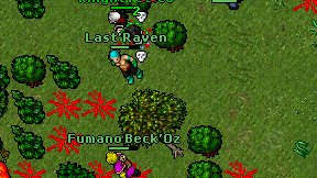 Last'Raven on screen