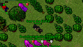 Sara da Elite on screen