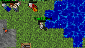 Tash Elwi on screen
