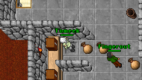 Tomeek on screen