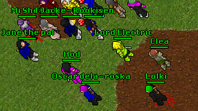 Lolki on screen
