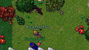 Alca Marton on screen