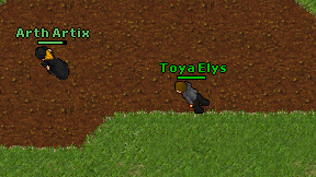 Toya Elys on screen
