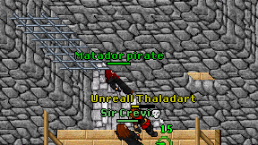Matador pirate on screen