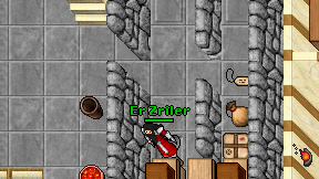 Er Zriler on screen